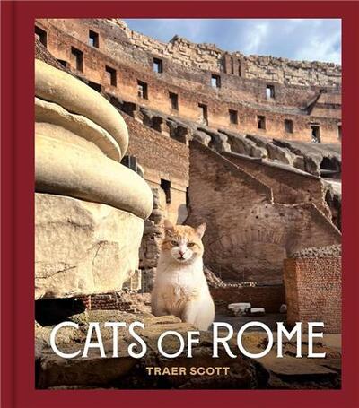Picture of Cats of Rome /anglais