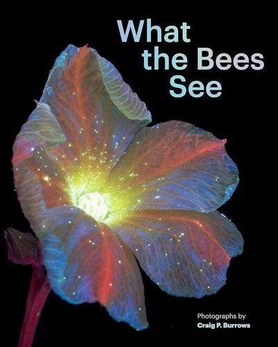 Image de What the Bees See