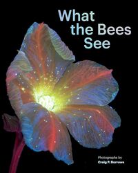 Image de What the Bees See