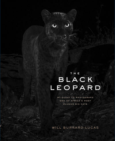 Image de THE BLACK LEOPARD