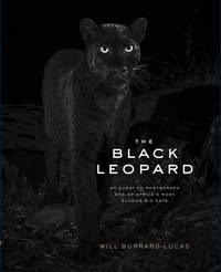 Image de THE BLACK LEOPARD