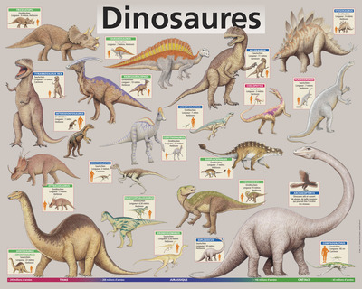 Picture of Les dinosaures