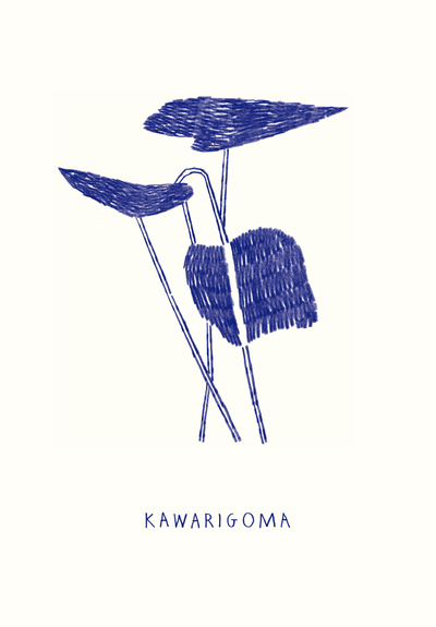 Image de Kawarigoma