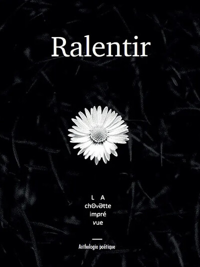 Picture of Ralentir