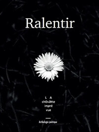 Picture of Ralentir