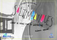 Image de SALTIMBANQUES. Carnet de voyage d'une vie GRENADINE.