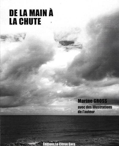 Picture of DE LA MAIN À LA CHUTE