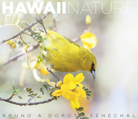 Image de HAWAII NATURE