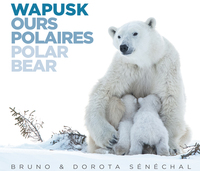 Picture of WAPUSK - OURS POLAIRES - POLAR BEAR