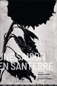 Picture of Une Saison en Santerre