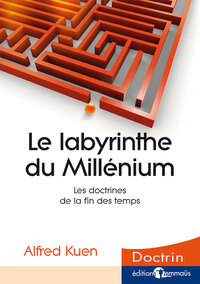 Picture of Le labyrinthe du millénium