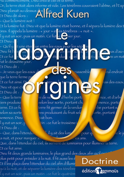 Picture of Le labyrinthe des origines