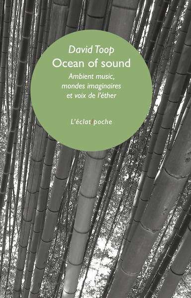 Image de Ocean of sound - Ambient music, mondes imaginaires et voix d