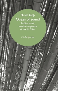 Image de Ocean of sound - Ambient music, mondes imaginaires et voix d
