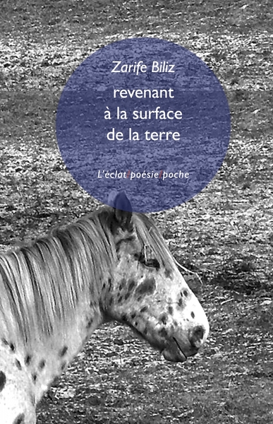 Picture of Revenant à la surface de la terre