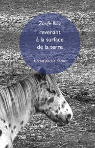 Picture of Revenant à la surface de la terre