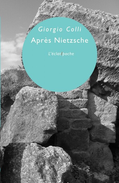 Picture of APRES NIETZSCHE