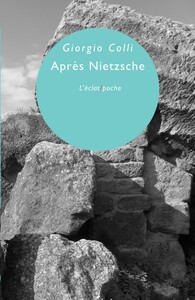 Picture of APRES NIETZSCHE