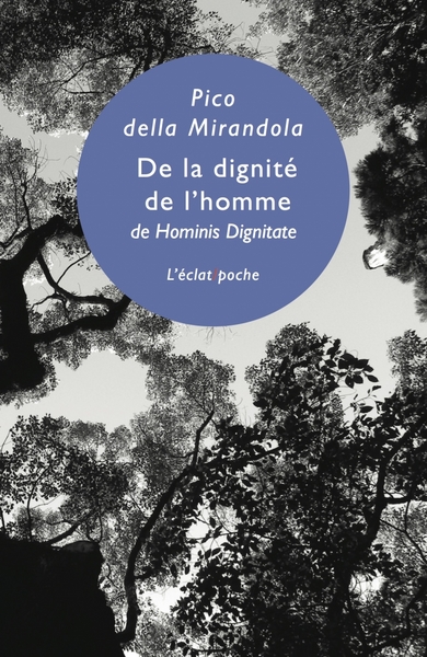 Image de DE LA DIGNITE DE L'HOMME
