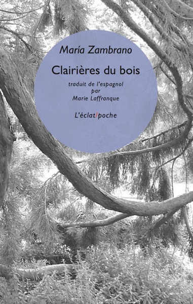 Image de Clairières du bois