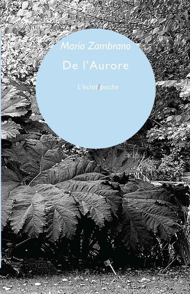 Image de DE L'AURORE