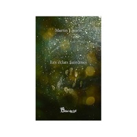 Picture of Les éclats fantômes