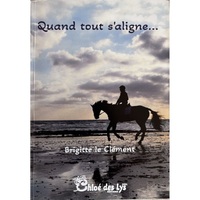 Picture of Quand tout s'aligne…