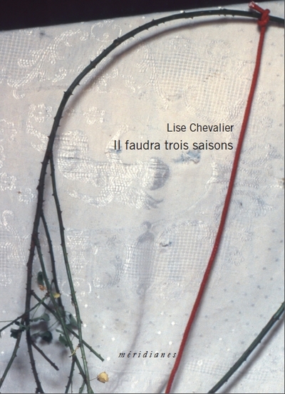 Image de Il faudra trois saisons