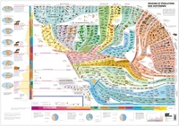 Picture of Atlas des vertébrés