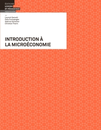 Picture of Introduction à la microéconomie
