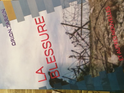 Image de La blessure et autres nouvelles