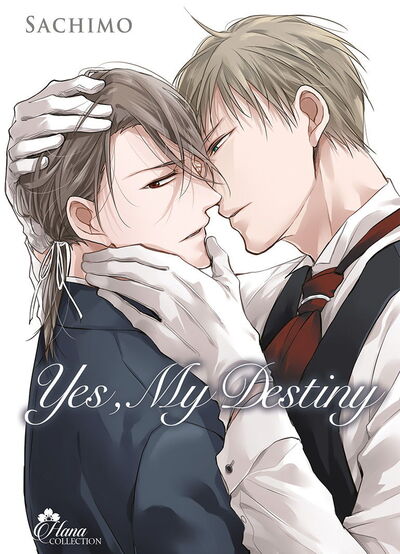 Picture of Yes, my Destiny - Tome 02