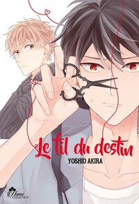 Picture of Le fil du destin