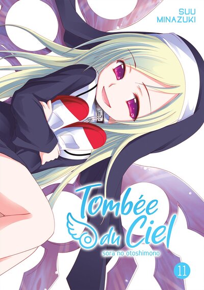 Image de Tombée du Ciel - Tome 11