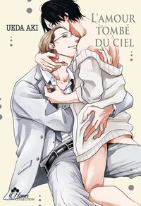 Picture of L'amour tombé du ciel