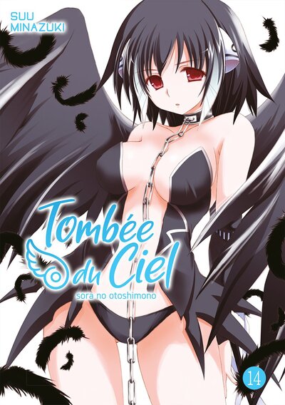 Image de Tombée du Ciel - Tome 14