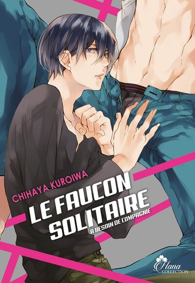Picture of Le Faucon Solitaire