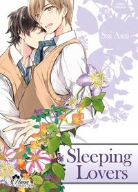 Picture of Sleeping Lovers