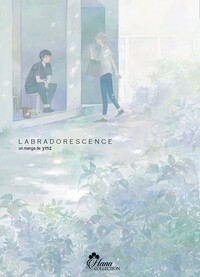 Picture of Labrado-Rescence