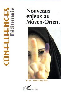 Image de Nouveaux enjeux au Moyen-Orient