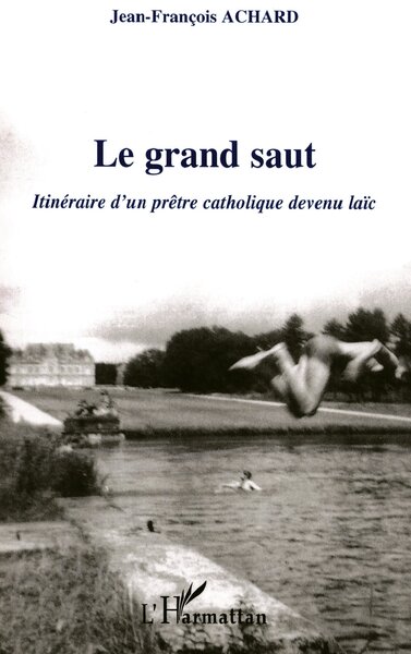 Picture of Le grand saut