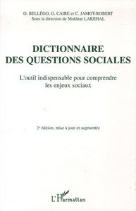 Picture of Dictionnaire des questions sociales