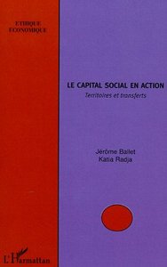 Picture of Le capital social en action