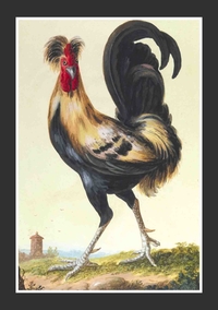 Image de Carnet ligné, Coq