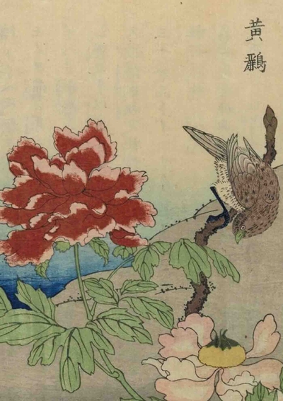 Image de Carnet Ligné, Oiseaux étrangers