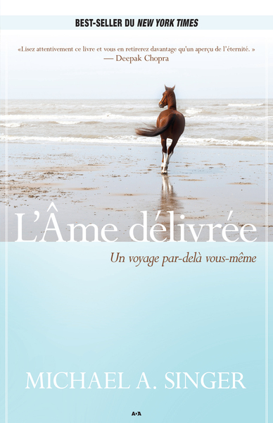 Picture of L'âme délivrée - un voyage par-delà vous-même