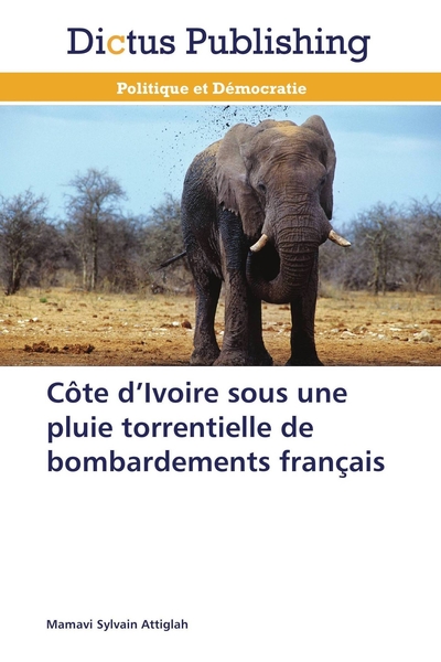 Picture of Côte d ivoire sous une pluie torrentielle de bombardements français