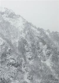 Picture of Keiko Sasaoka Presence /anglais/japonais