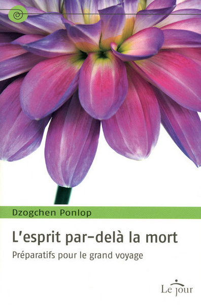 Image de L'esprit par-delà la mort