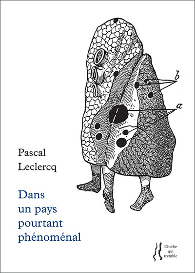 Picture of Dans un pays pourtant phénoménal